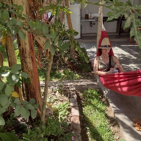 Flying Monkey Hostel نازكا المظهر الخارجي الصورة