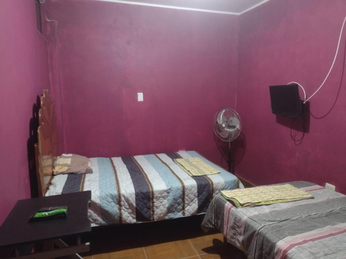 Flying Monkey Hostel نازكا المظهر الخارجي الصورة