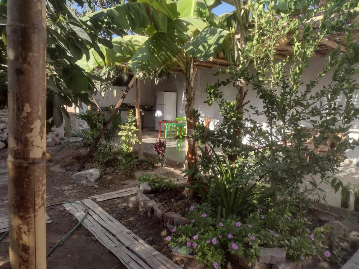 Flying Monkey Hostel نازكا المظهر الخارجي الصورة